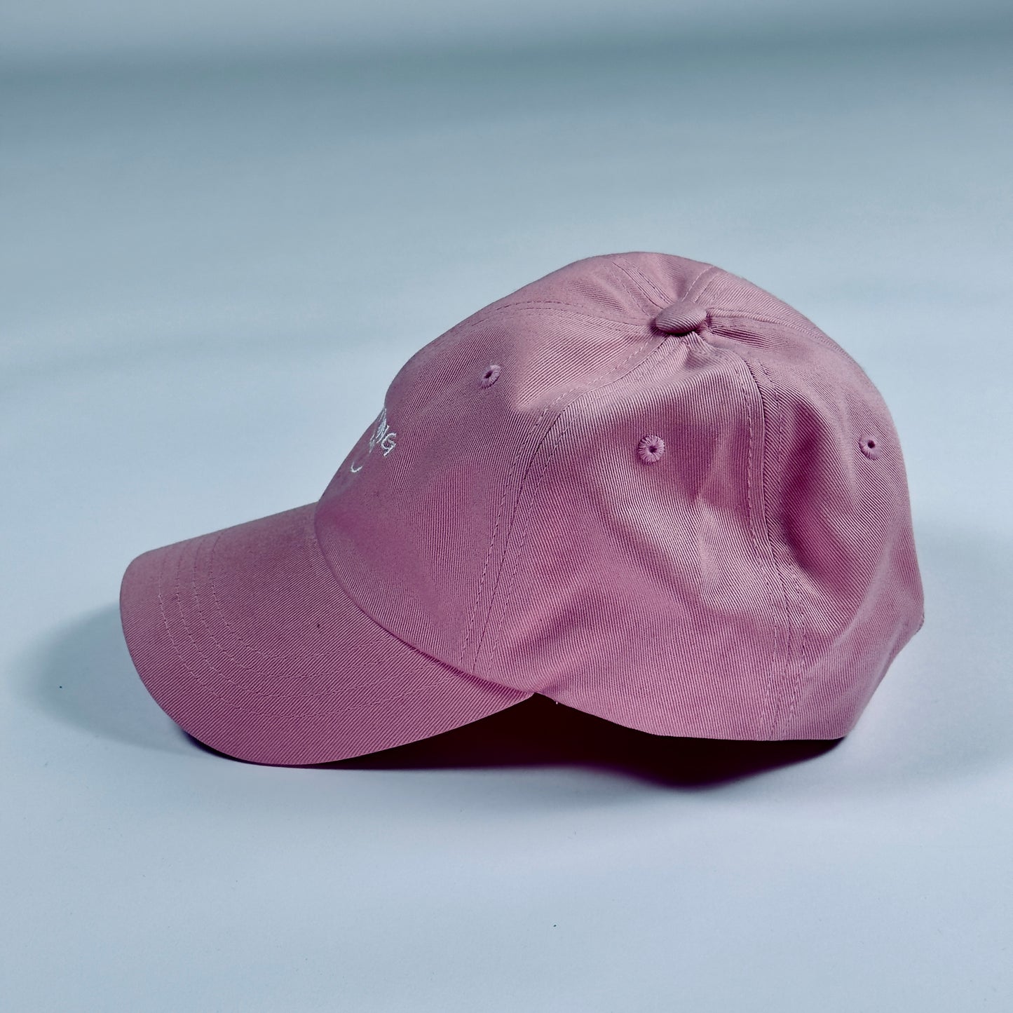 EIO Logo Dad Cap